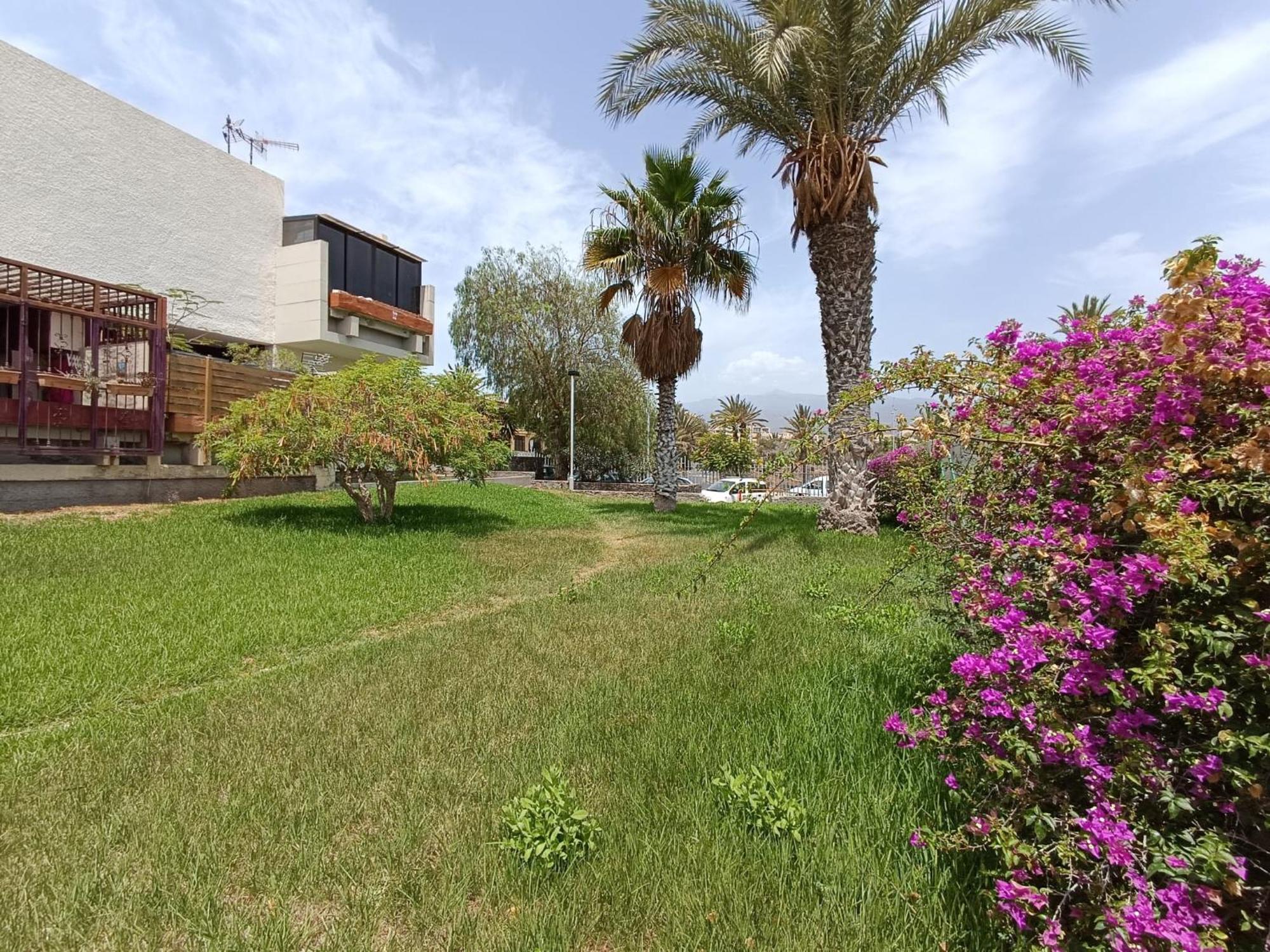 Apartment Tenerife South Coast Costa Del Silencio Eksteriør bilde